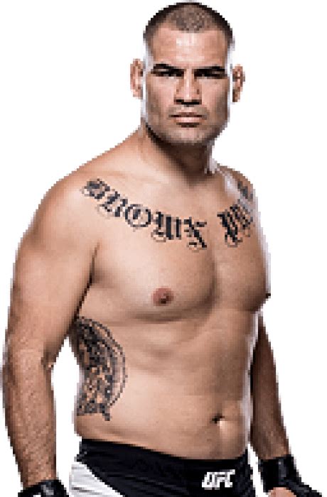 Cain Velasquez UFC Betting Trends, Stats & Analysis .
